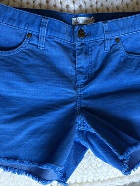 Carve Designs Royal Blue Corduroy Shorts